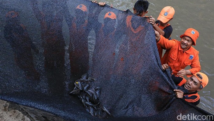 Sumber foto : detik.com
