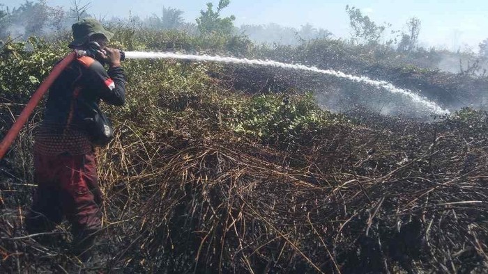 Sumber foto : detik.com